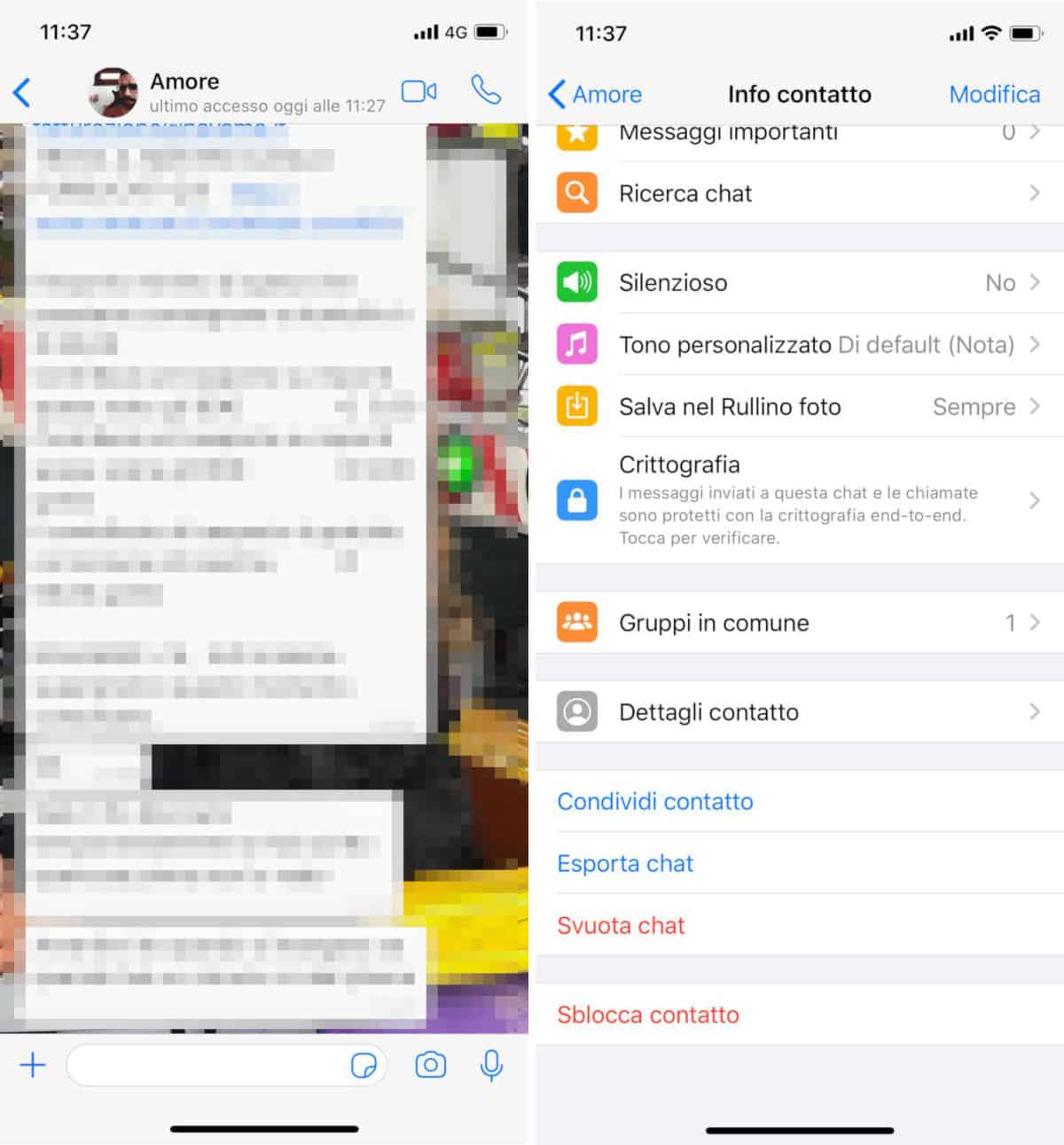 come sbloccare un contatto su WhatsApp iPhone