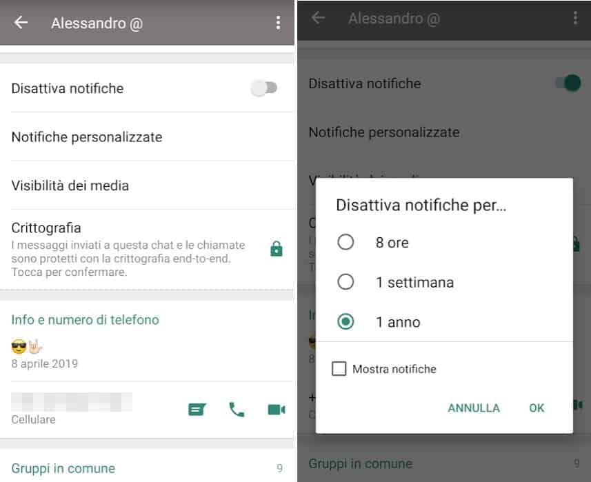 come nascondere le notifiche di WhatsApp disattivazione notifiche singola chat