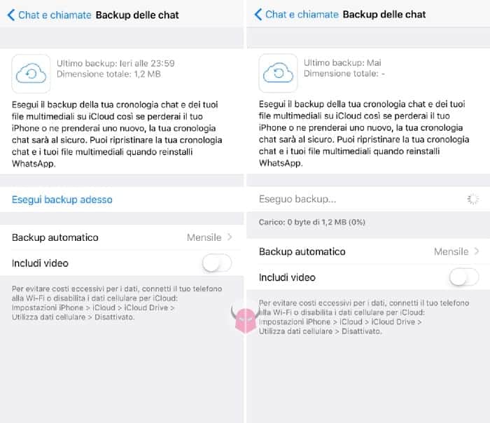 come salvare chat WhatsApp iPhone iCloud