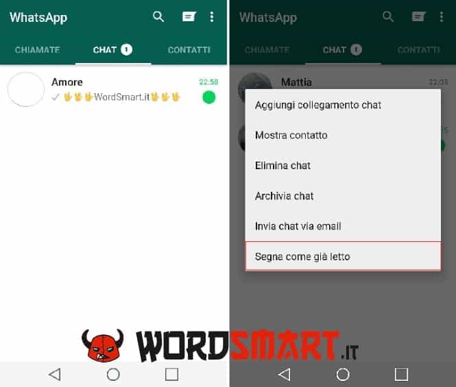 Come segnare i messaggi come già letti WhatsApp