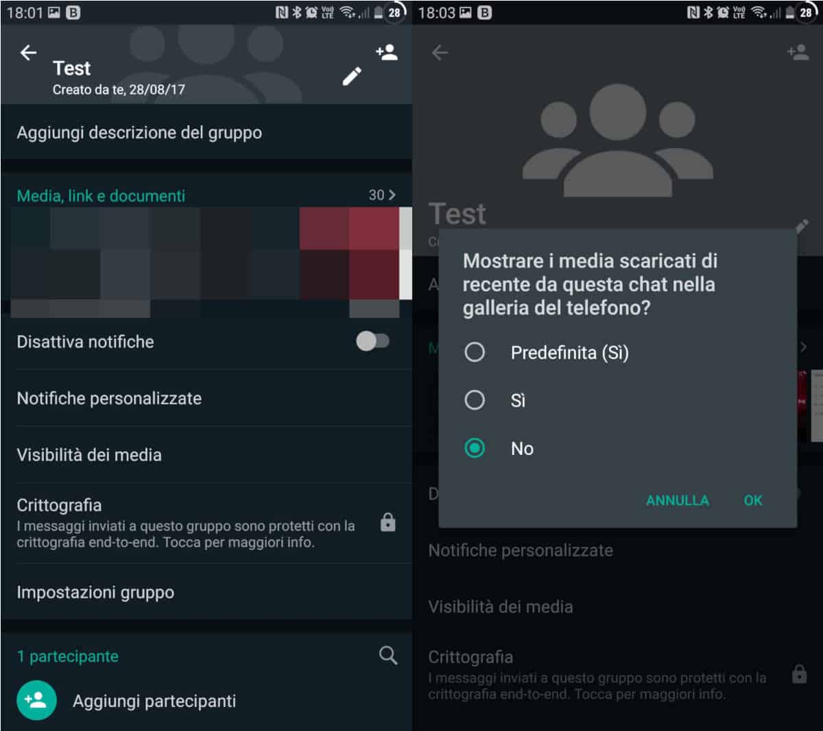 non salvare foto e video WhatsApp gruppo Android