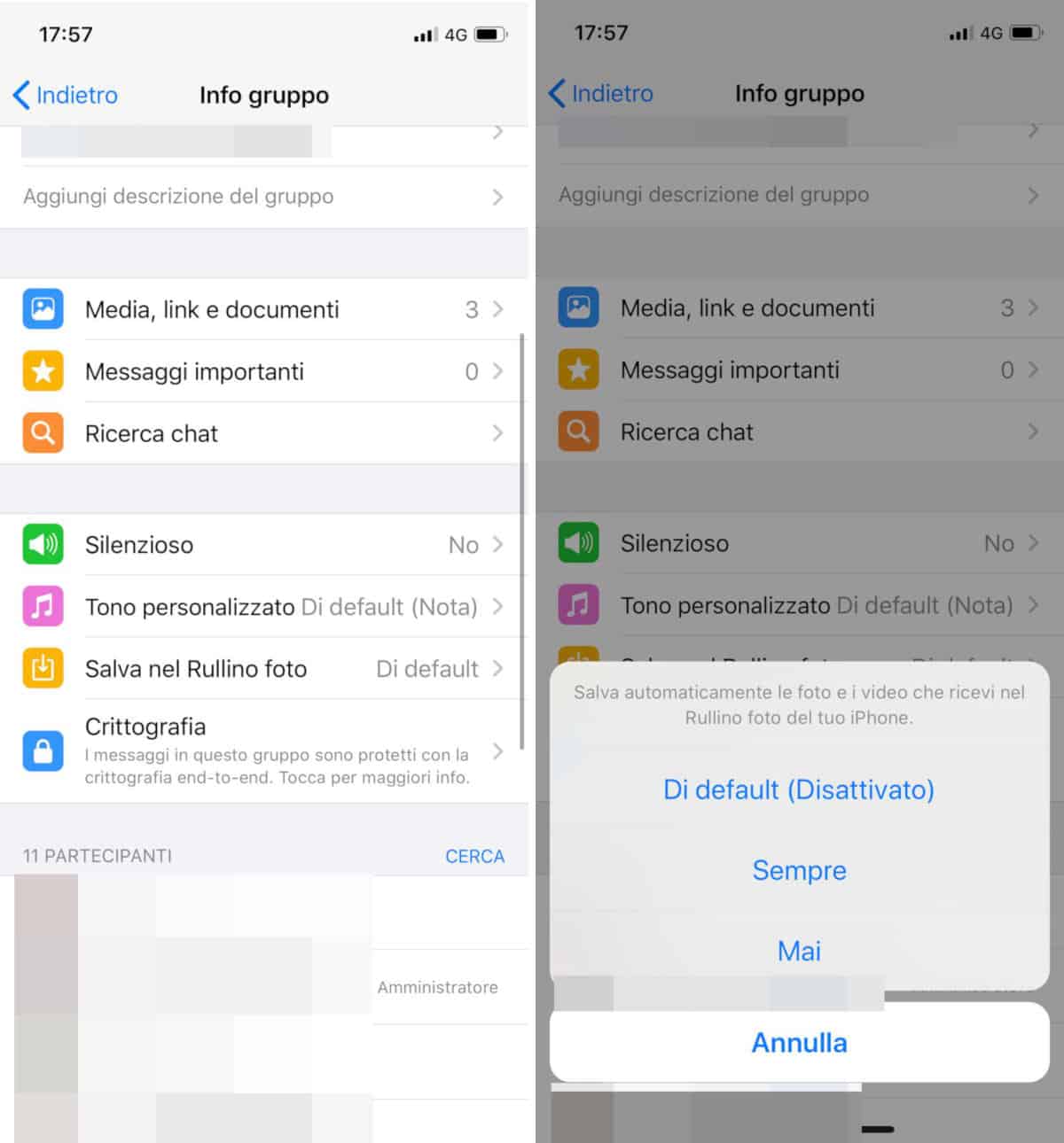 non salvare foto e video WhatsApp gruppo iPhone