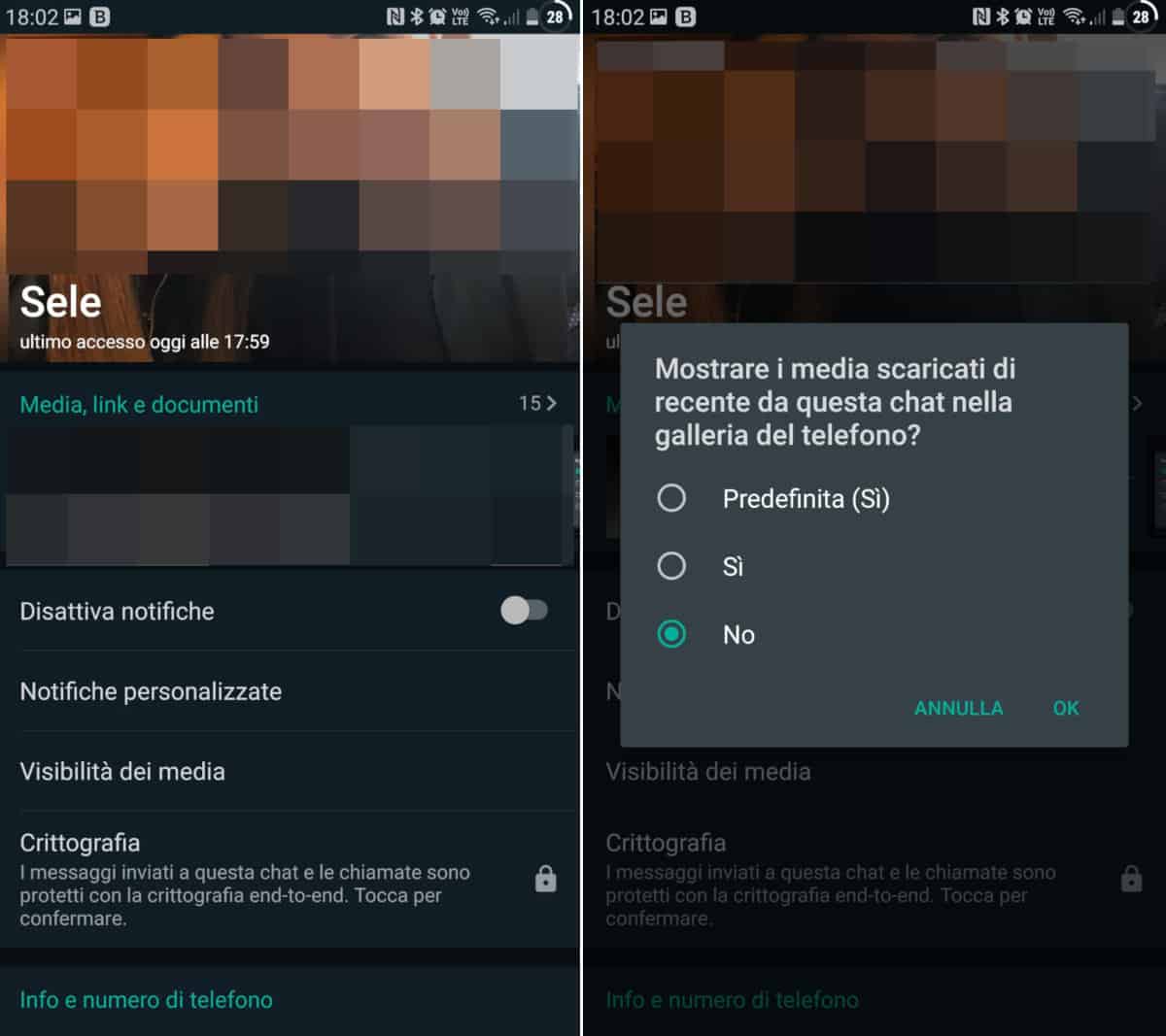 non salvare foto e video WhatsApp singola chat Android