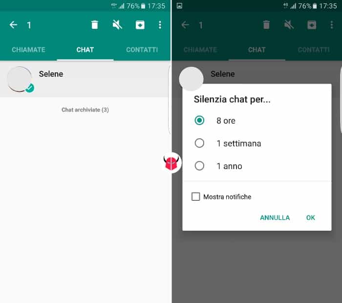 come disconnettere WhatsApp su Android silenzioso