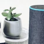 come ascoltare musica con Alexa