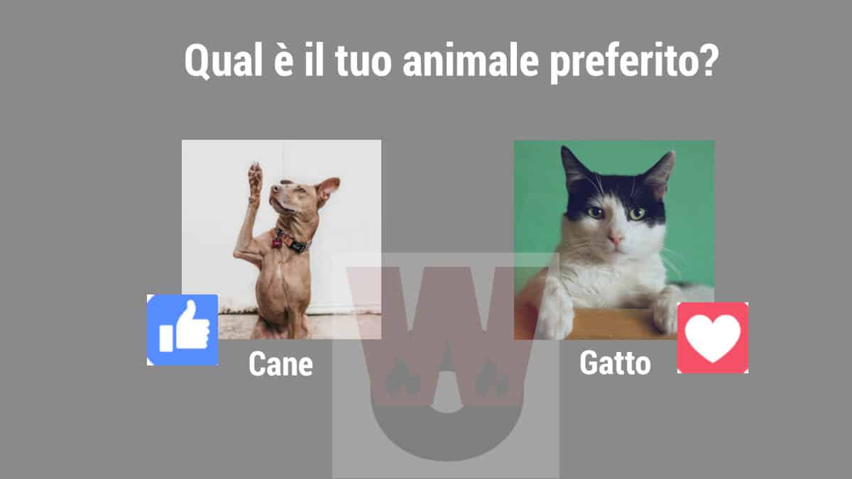 creare un sondaggio su Facebook con foto esempio personalizzato