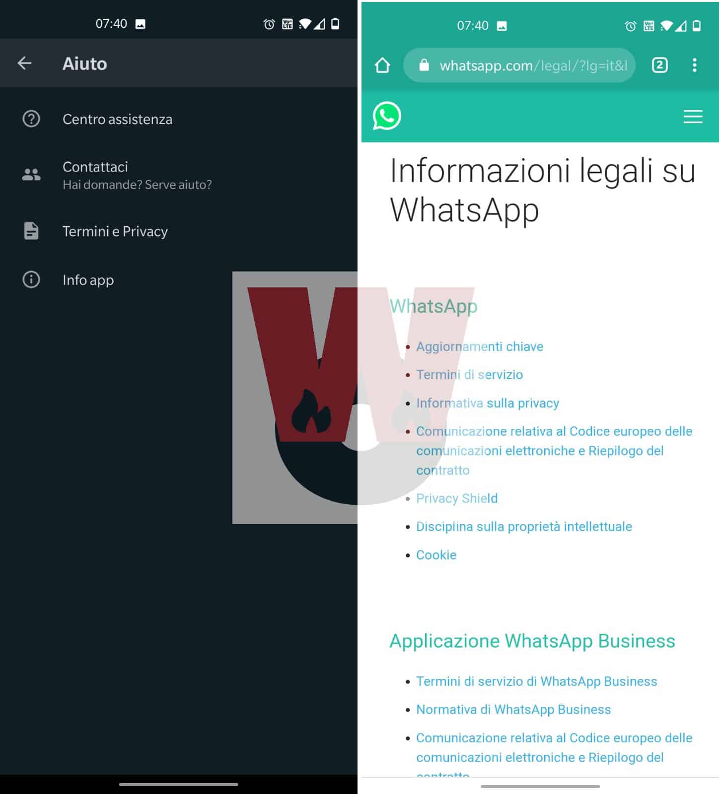 lettura termini attuali WhatsApp da app