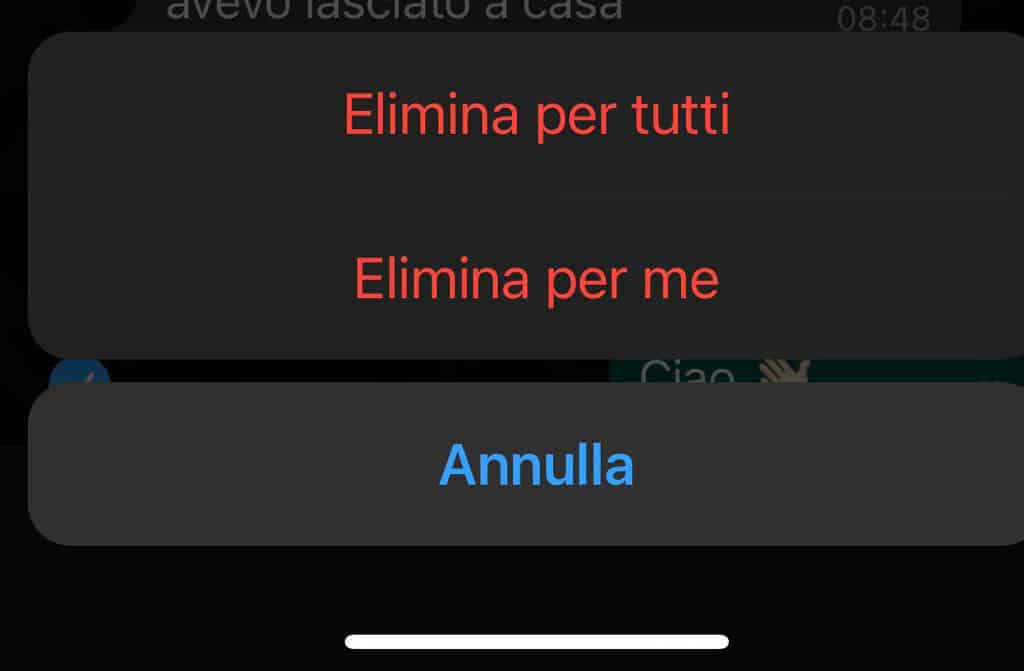 opzione Elimina per tutti tracce messaggi WhatsApp
